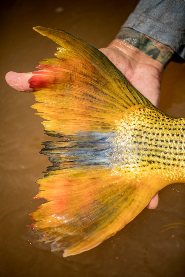 2020 Suinda Tapen Lodge PH Stephan Dombaj99