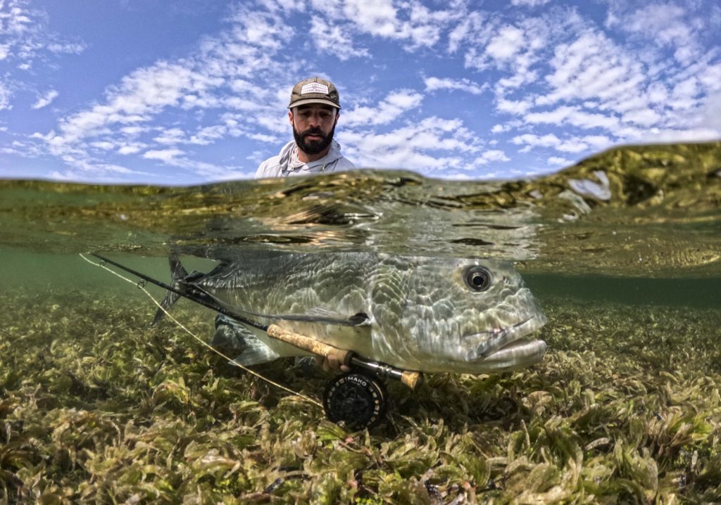 Cam Prov week 5 phone 3